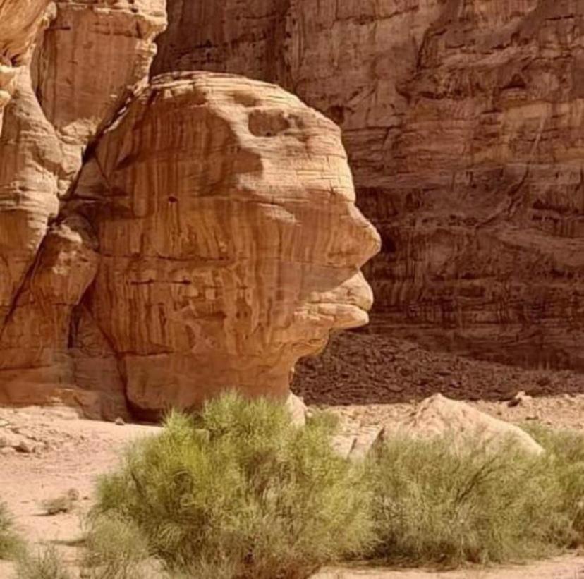 Adel Rum Camp Bubbles Wadi Rum Exterior foto